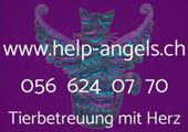 HELP ANGELS | Tierbetreuung mit Herz