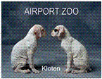 Airport Zoofachhandlung