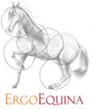ErgoEquina