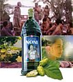Business & Wellness (Tahitian Noni Juice Saft Original)