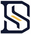 DS auto-solutions