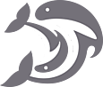 cranio-geburt - Sonnhalde 8 - 9410 Heiden - Tel. 071 890 04 86 - praxis@cranio-geburt.ch