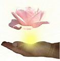 Gesundheitspraxis Zur Rose