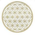 Jane Shanti's Holistic Coaching