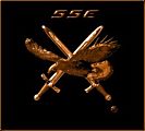 Security Service Europe