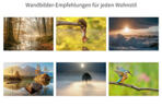 Wandbilderdirekt.de - Annastraße 51 - 4749 Rheinberg - Tel. 123456789 - info@wandbilderdirekt.de