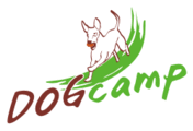 DOGcamp