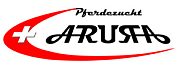 Arura GmbH