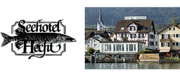 SEEHOTEL HECHT AG