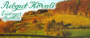 Rebgut Hörnli Fam. E. Bächli-Pfister