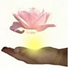 Gesundheitspraxis Zur Rose - Chratz 9 - 8479 Altikon - Tel. 052 336 14 68 - info@praxis-zur-rose.ch