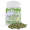 Moringa ist nicht gleich Moringa! - Seppenser Weg 1a - 2124 Buchholz - Tel. 0171-6875328 - info@unternehmer-world.com